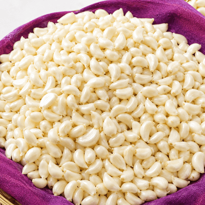 Bulk Garlic for Wholesale Buyers