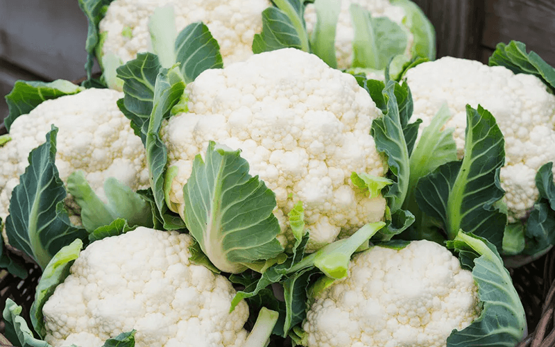 Cauliflower (फूल गोभी)