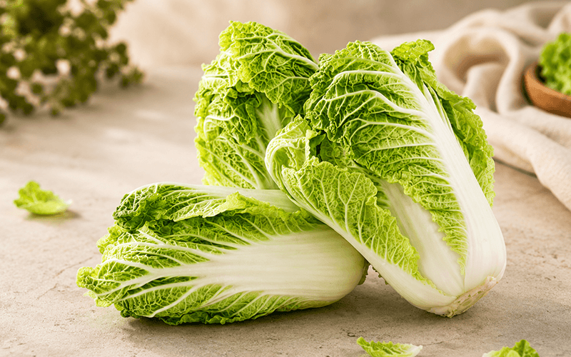 Chinese Cabbage (चीनी पत्ता गोभी)
