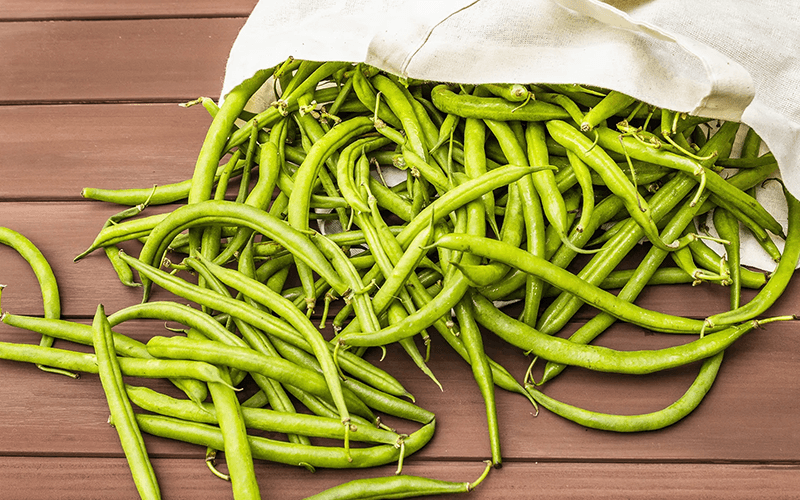 Cowpea Beans (लोबिया फली)