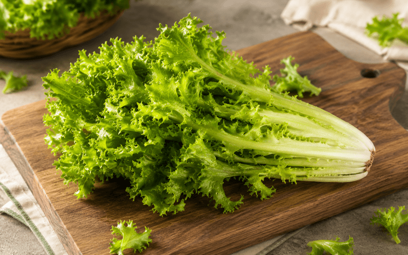 Endive (एंडिव)