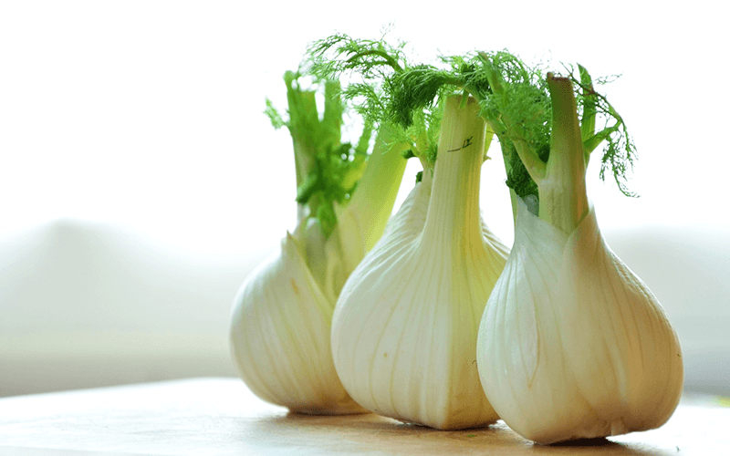Fennel Bulb (सौंफ बल्ब)