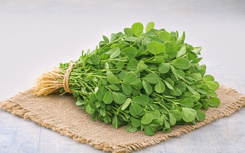 Fenugreek (मेथी)