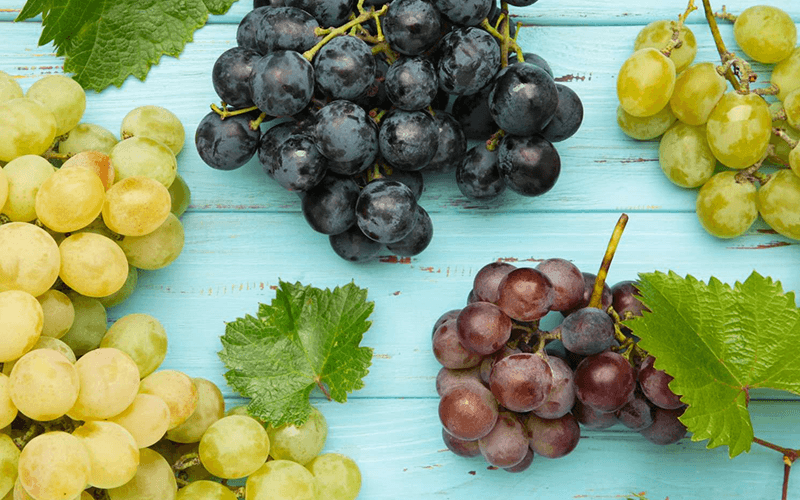 Grapes (अंगूर) - wholesale fruit Surat