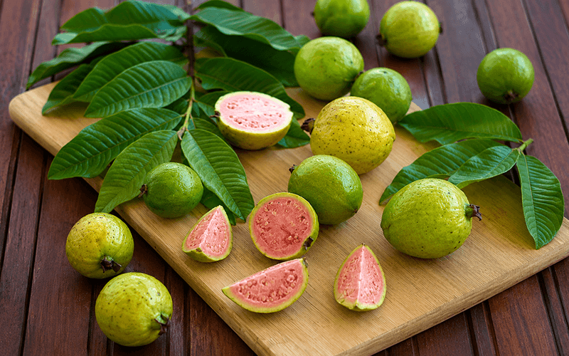 Guava (अमरूद) - wholesale fruit Surat