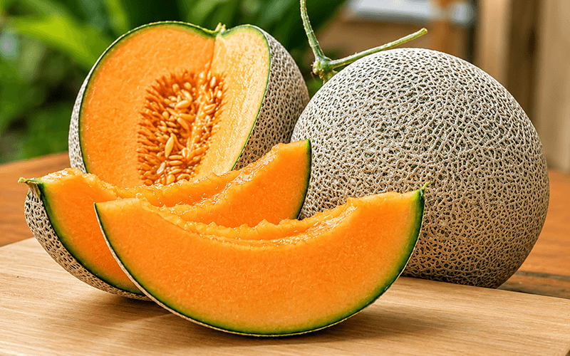 Muskmelon (खरबूजा) - wholesale fruit Surat