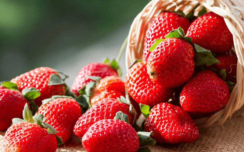 Strawberry (स्ट्रॉबेरी) - wholesale fruit Surat