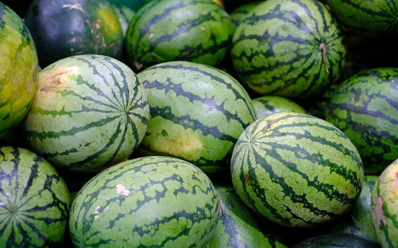 Watermelon (तरबूज) - wholesale fruit Surat
