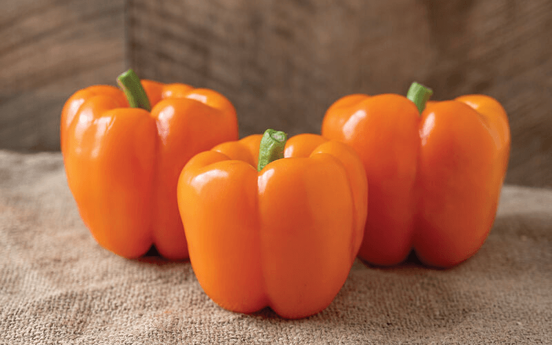 Orange Capsicum (नारंगी शिमला मिर्च)