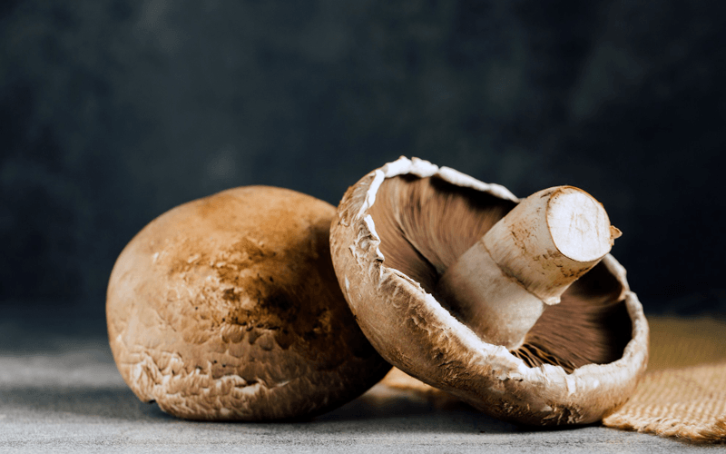 Portobello Mushroom (पोर्टोबेलो मशरूम)