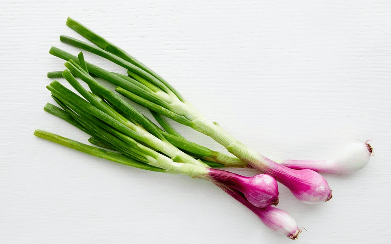 Spring Onion (हरा प्याज़)