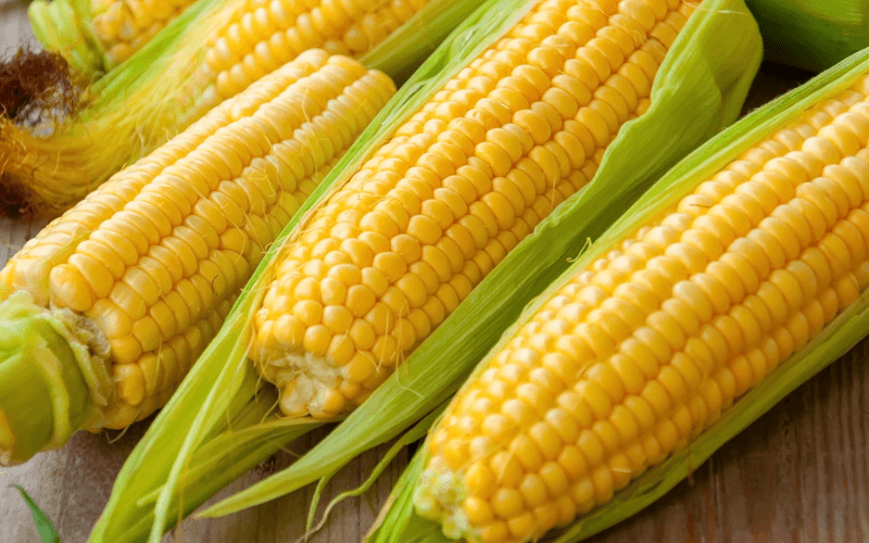 Sweet Corn (मक्का)